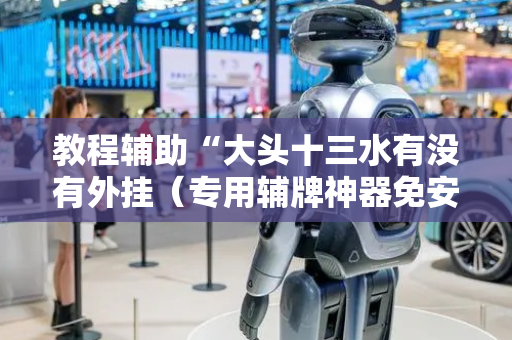 教程辅助“大头十三水有没有外挂（专用辅牌神器免安装）