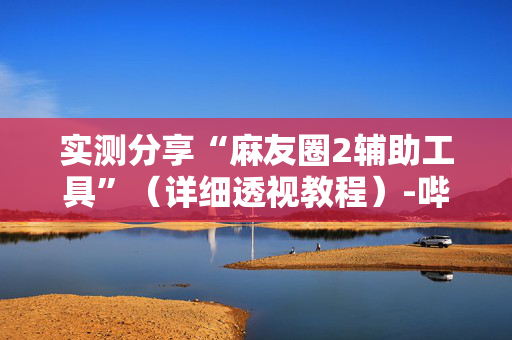 实测分享“麻友圈2辅助工具”（详细透视教程）-哔哩哔哩