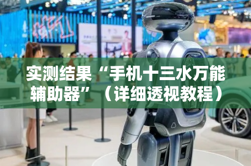 实测结果“手机十三水万能辅助器”（详细透视教程）-哔哩哔哩