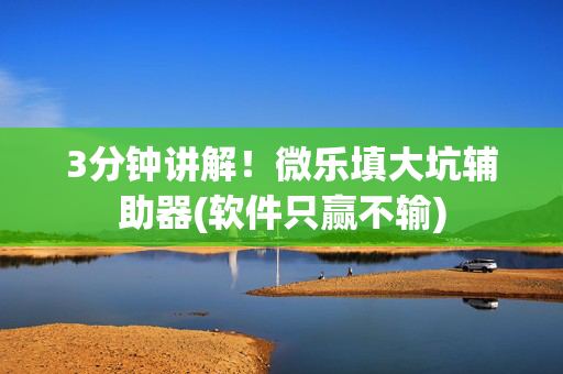 3分钟讲解！微乐填大坑辅助器(软件只赢不输)