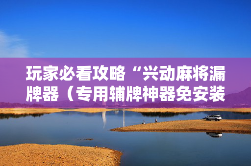 玩家必看攻略“兴动麻将漏牌器（专用辅牌神器免安装）