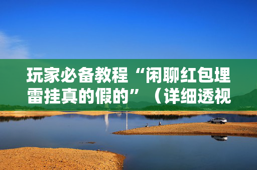 玩家必备教程“闲聊红包埋雷挂真的假的”（详细透视教程）-哔哩哔哩