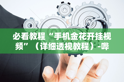 必看教程“手机金花开挂视频”（详细透视教程）-哔哩哔哩