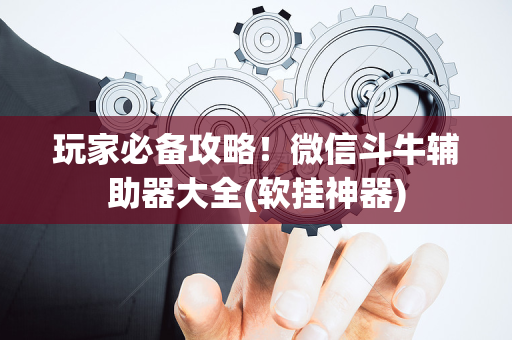 玩家必备攻略！微信斗牛辅助器大全(软挂神器)