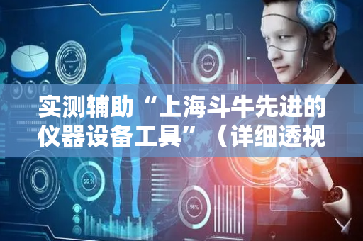 实测辅助“上海斗牛先进的仪器设备工具”（详细透视教程）-哔哩哔哩