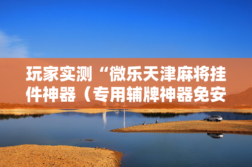 玩家实测“微乐天津麻将挂件神器（专用辅牌神器免安装）