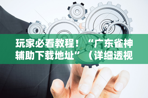 玩家必看教程！“广东雀神辅助下载地址”（详细透视教程）-哔哩哔哩