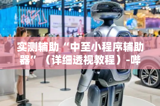 实测辅助“中至小程序辅助器”（详细透视教程）-哔哩哔哩