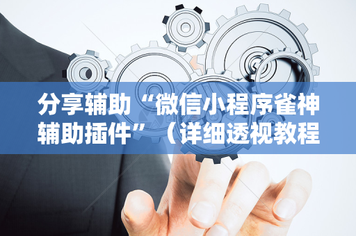 分享辅助“微信小程序雀神辅助插件”（详细透视教程）-哔哩哔哩