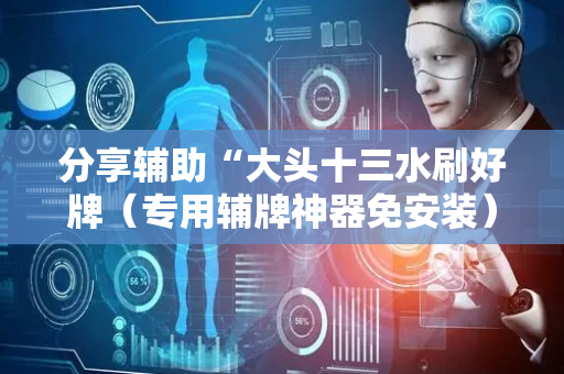 分享辅助“大头十三水刷好牌（专用辅牌神器免安装）