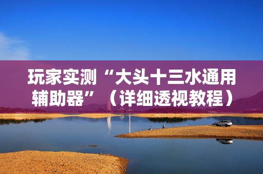玩家实测“大头十三水通用辅助器”（详细透视教程）-哔哩哔哩