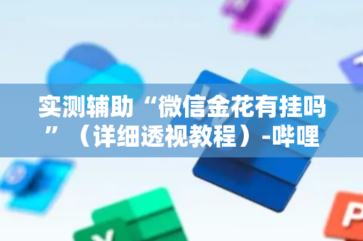 实测辅助“微信金花有挂吗”（详细透视教程）-哔哩哔哩