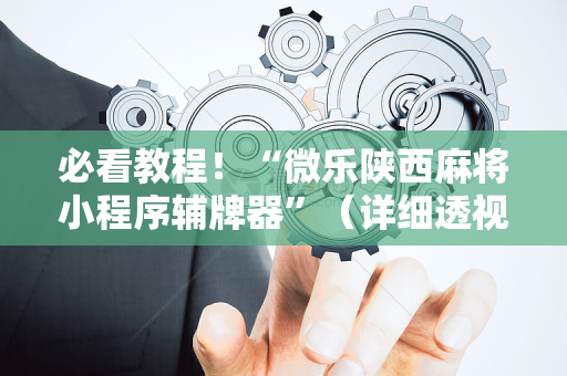 必看教程！“微乐陕西麻将小程序辅牌器”（详细透视教程）-哔哩哔哩