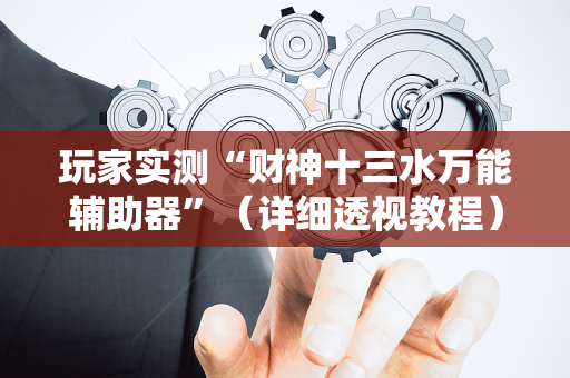 玩家实测“财神十三水万能辅助器”（详细透视教程）-哔哩哔哩