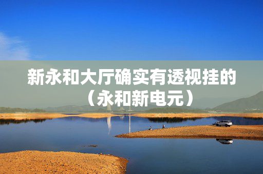 新永和大厅确实有透视挂的（永和新电元）