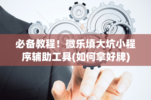 必备教程！微乐填大坑小程序辅助工具(如何拿好牌)