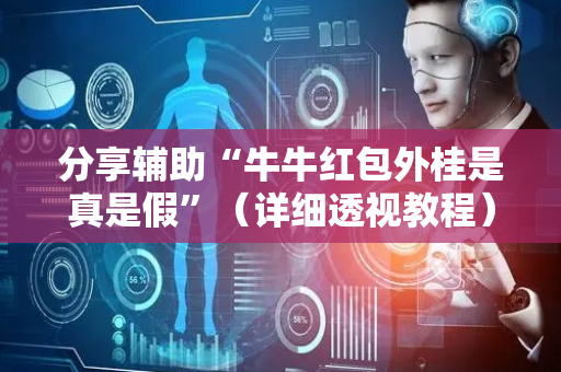 分享辅助“牛牛红包外桂是真是假”（详细透视教程）-哔哩哔哩