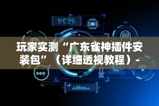 玩家实测“广东雀神插件安装包”（详细透视教程）-哔哩哔哩