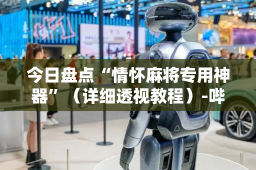 今日盘点“情怀麻将专用神器”（详细透视教程）-哔哩哔哩