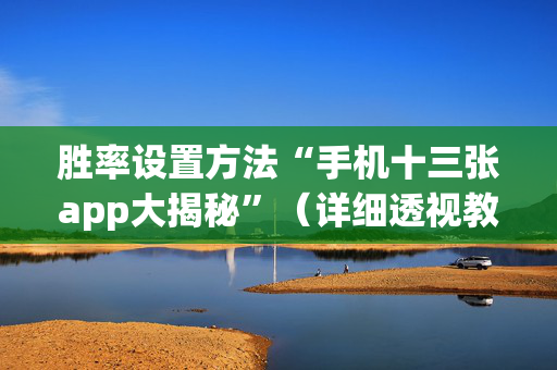 胜率设置方法“手机十三张app大揭秘”（详细透视教程）-哔哩哔哩