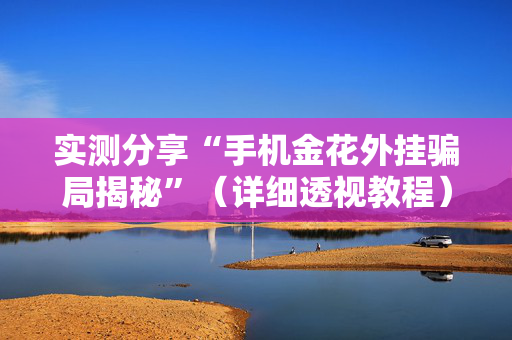 实测分享“手机金花外挂骗局揭秘”（详细透视教程）-哔哩哔哩