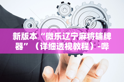 新版本“微乐辽宁麻将辅牌器”（详细透视教程）-哔哩哔哩