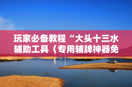玩家必备教程“大头十三水辅助工具（专用辅牌神器免安装）