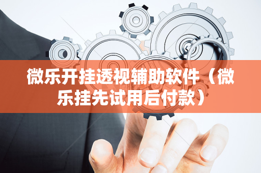 微乐开挂透视辅助软件（微乐挂先试用后付款）
