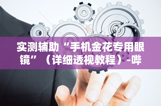 实测辅助“手机金花专用眼镜”（详细透视教程）-哔哩哔哩