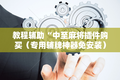 教程辅助“中至麻将插件购买（专用辅牌神器免安装）