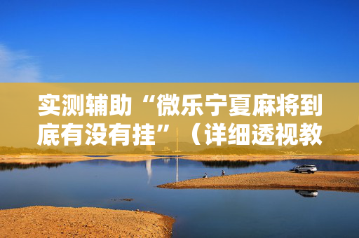 实测辅助“微乐宁夏麻将到底有没有挂”（详细透视教程）-哔哩哔哩
