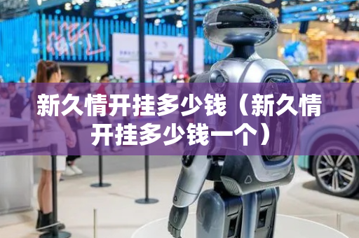 新久情开挂多少钱（新久情开挂多少钱一个）