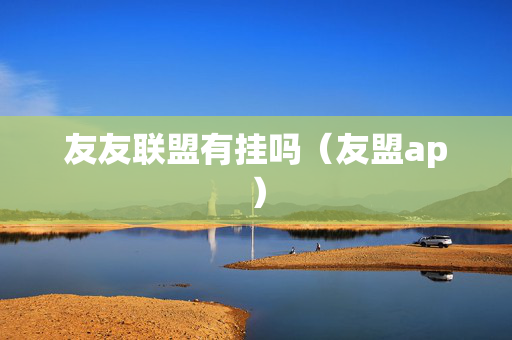 友友联盟有挂吗（友盟ap）