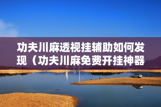 功夫川麻透视挂辅助如何发现（功夫川麻免费开挂神器）