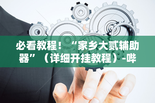 必看教程！“家乡大贰辅助器”（详细开挂教程）-哔哩哔哩