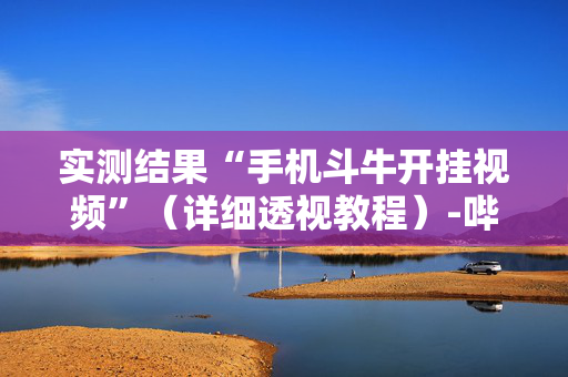 实测结果“手机斗牛开挂视频”（详细透视教程）-哔哩哔哩