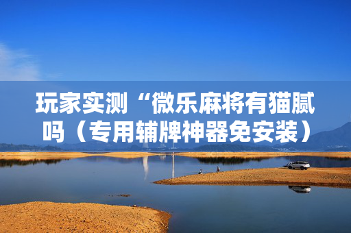 玩家实测“微乐麻将有猫腻吗（专用辅牌神器免安装）