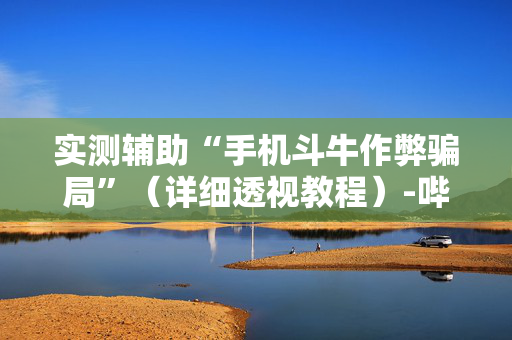 实测辅助“手机斗牛作弊骗局”（详细透视教程）-哔哩哔哩