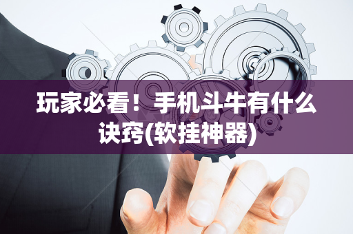 玩家必看！手机斗牛有什么诀窍(软挂神器)