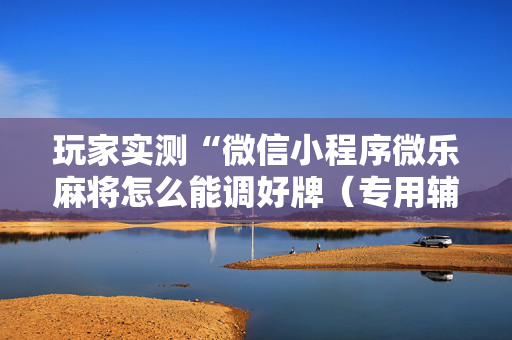 玩家实测“微信小程序微乐麻将怎么能调好牌（专用辅牌神器免安装）