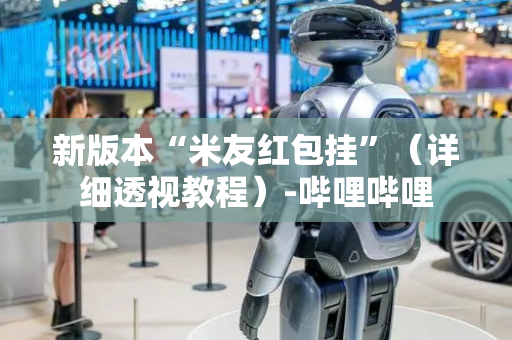 新版本“米友红包挂”（详细透视教程）-哔哩哔哩