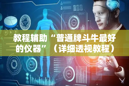 教程辅助“普通牌斗牛最好的仪器”（详细透视教程）-哔哩哔哩