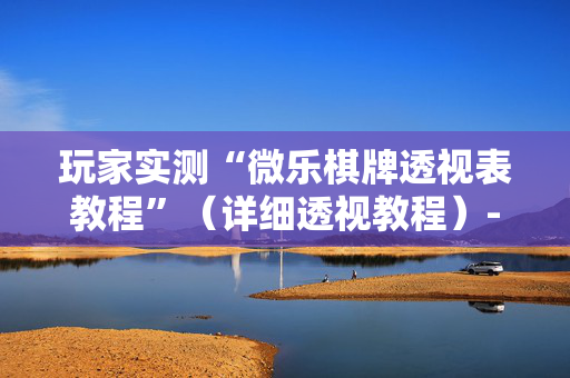 玩家实测“微乐棋牌透视表教程”（详细透视教程）-哔哩哔哩