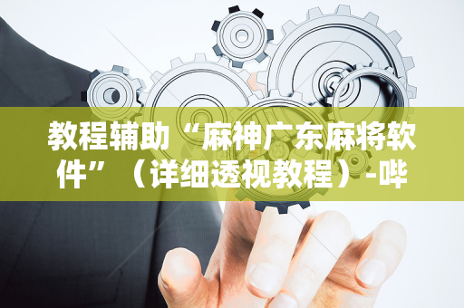 教程辅助“麻神广东麻将软件”（详细透视教程）-哔哩哔哩