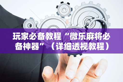 玩家必备教程“微乐麻将必备神器”（详细透视教程）-哔哩哔哩