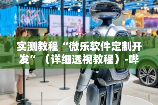 实测教程“微乐软件定制开发”（详细透视教程）-哔哩哔哩