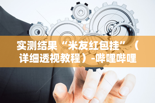实测结果“米友红包挂”（详细透视教程）-哔哩哔哩