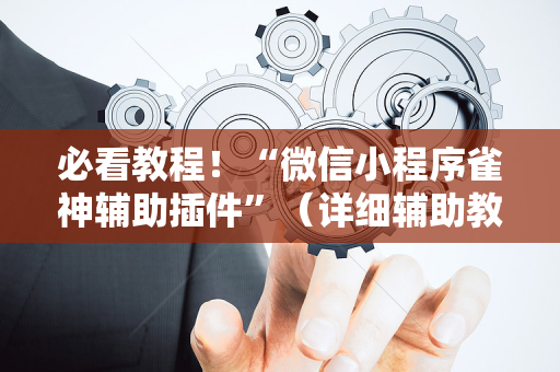 必看教程！“微信小程序雀神辅助插件”（详细辅助教程）-哔哩哔哩