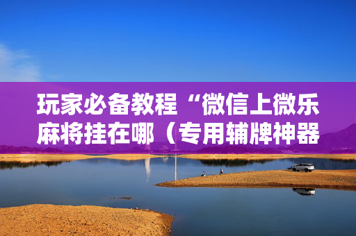 玩家必备教程“微信上微乐麻将挂在哪（专用辅牌神器免安装）
