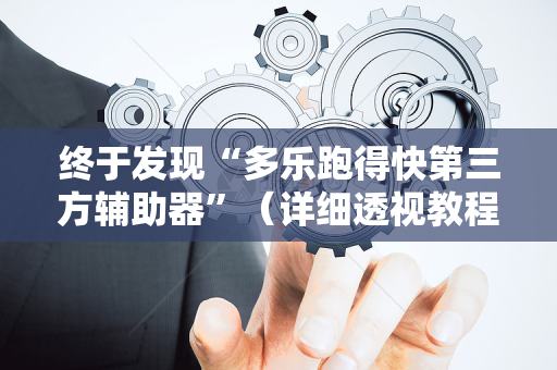 终于发现“多乐跑得快第三方辅助器”（详细透视教程）-哔哩哔哩